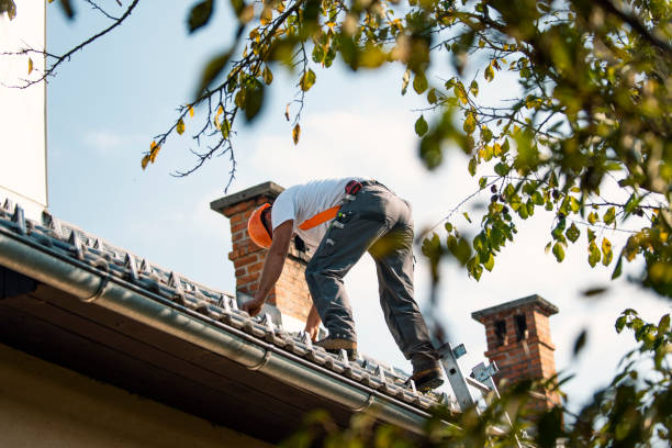 Best Best Roofing Contractors  in Shell Valley, ND