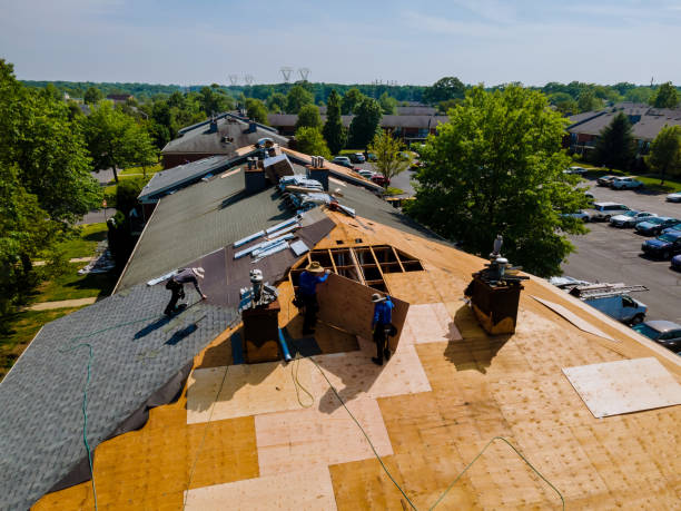 Best Flat Roof Repair Services  in Shell Valley, ND