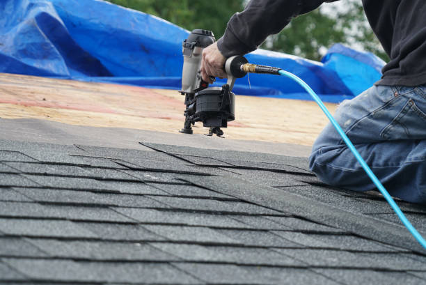Best Metal Roofing Contractor  in Shell Valley, ND