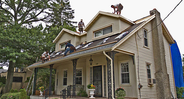 Best Roof Leak Repair  in Shell Valley, ND